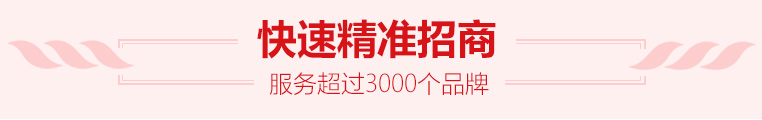 快速精準(zhǔn)招商 服務(wù)超過(guò)3000個(gè)品牌