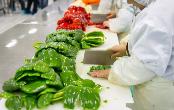 預(yù)制菜店加盟費(fèi)多少錢一個(gè)月？預(yù)制菜加盟前景與經(jīng)營(yíng)成本規(guī)劃